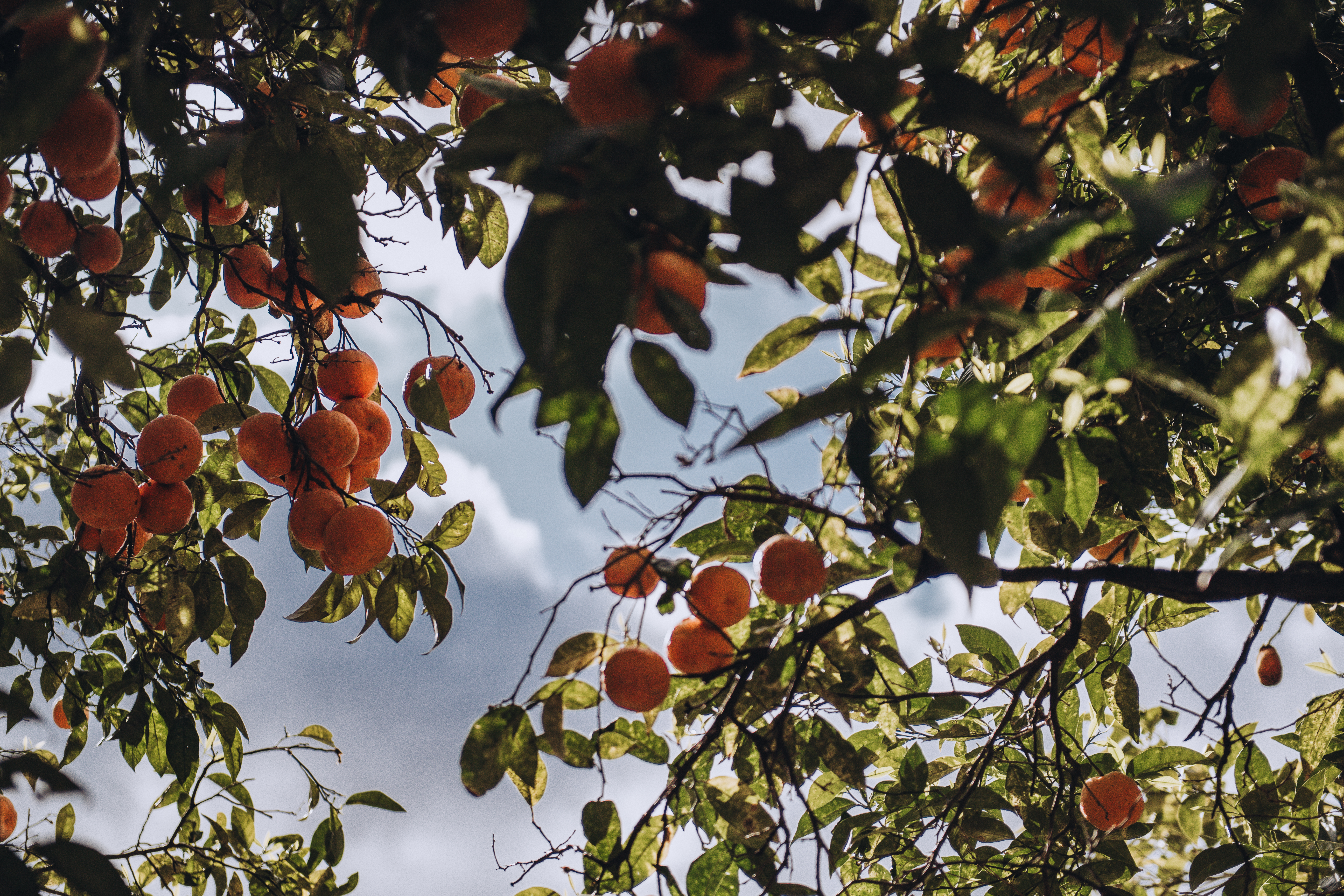 Planning a Destination Wedding: Your Ultimate Step-by-Step Guide