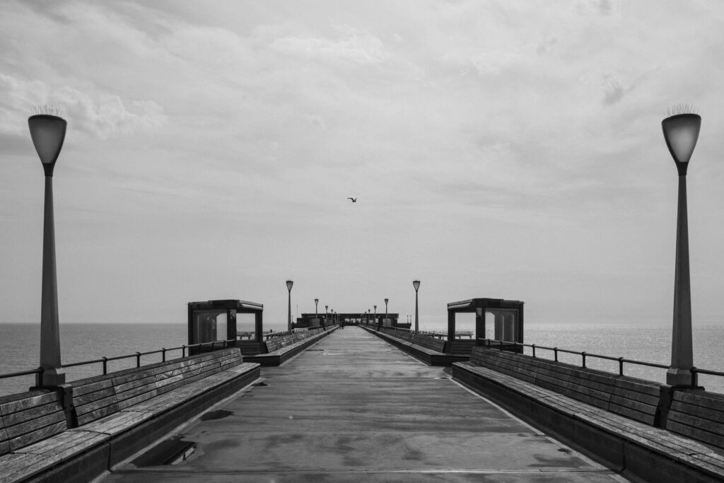 Deal Pier with a seagull