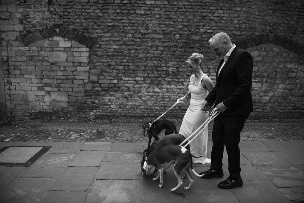 Bride and groom walking with dogs in Cambridge during their wedding