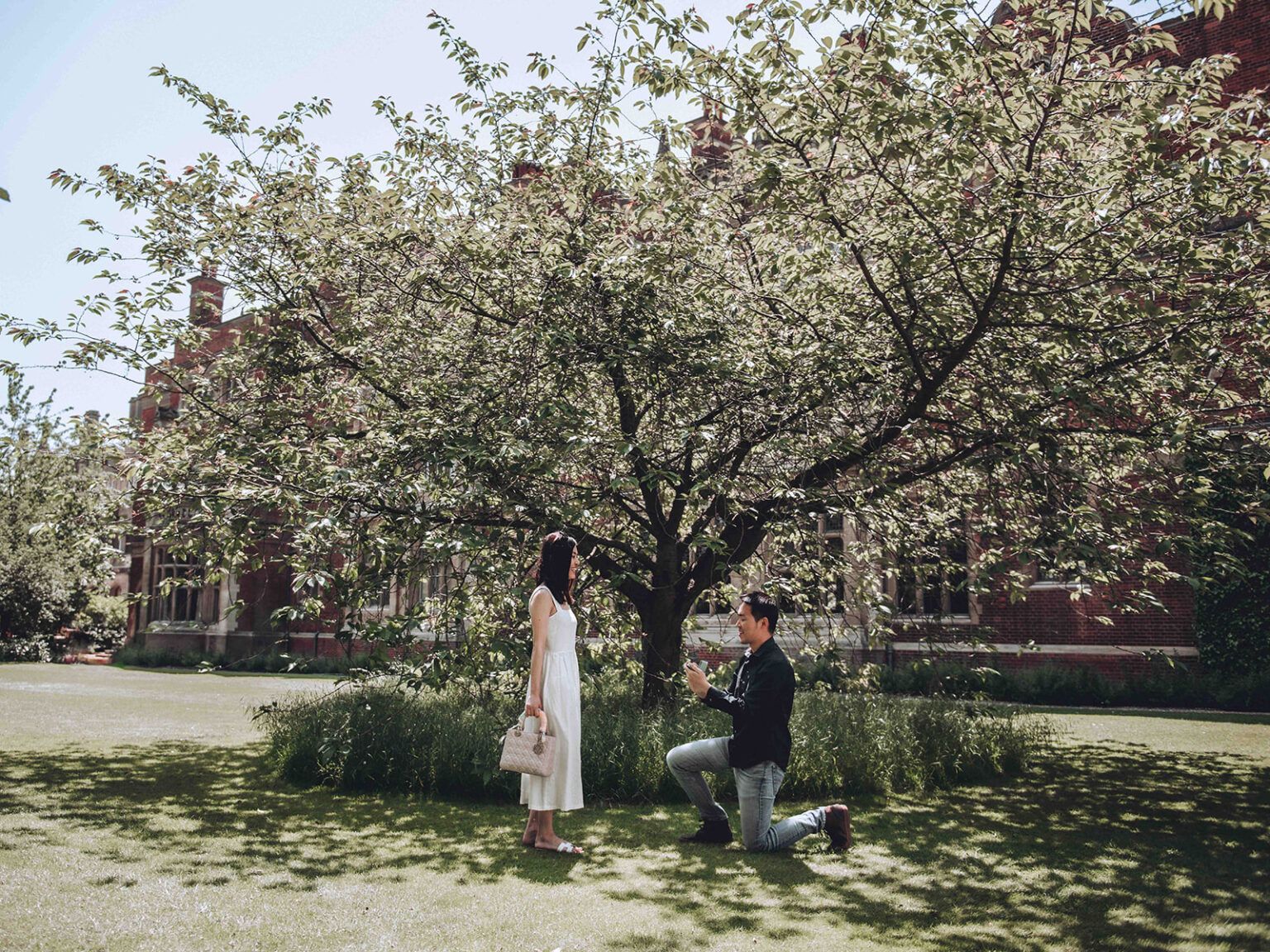 Luxury asian proposal in Cambridge