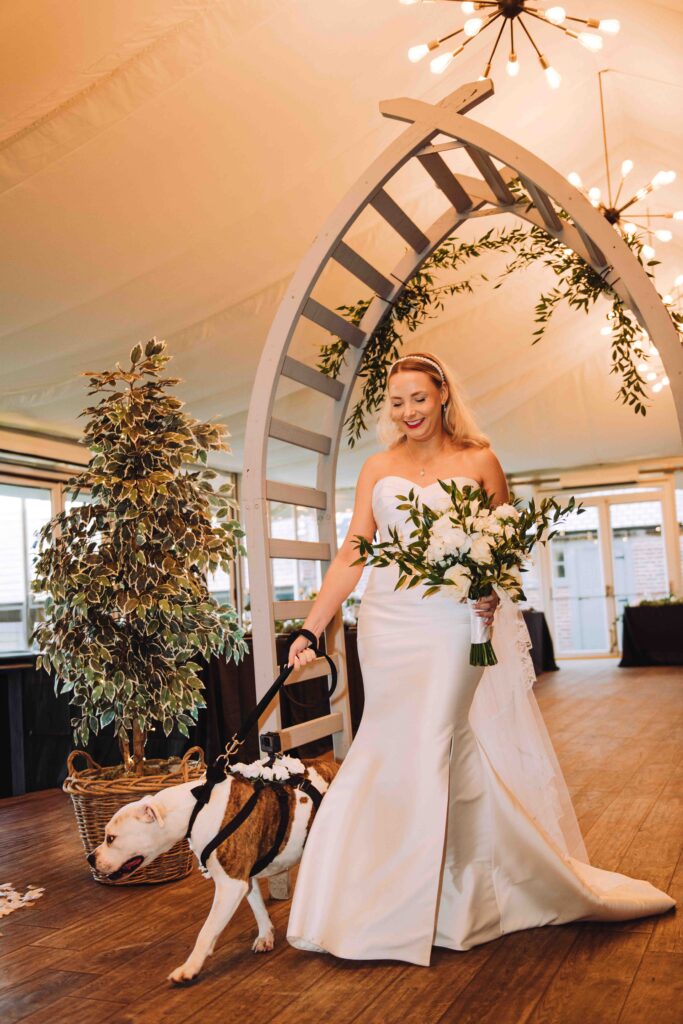 Bride walking in wedding with dog