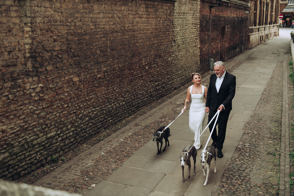 Bride and groom walking dogs through Cambridge high street