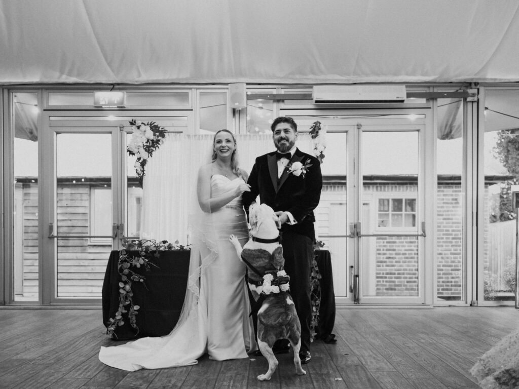 Bride and groom being jumped on by dog