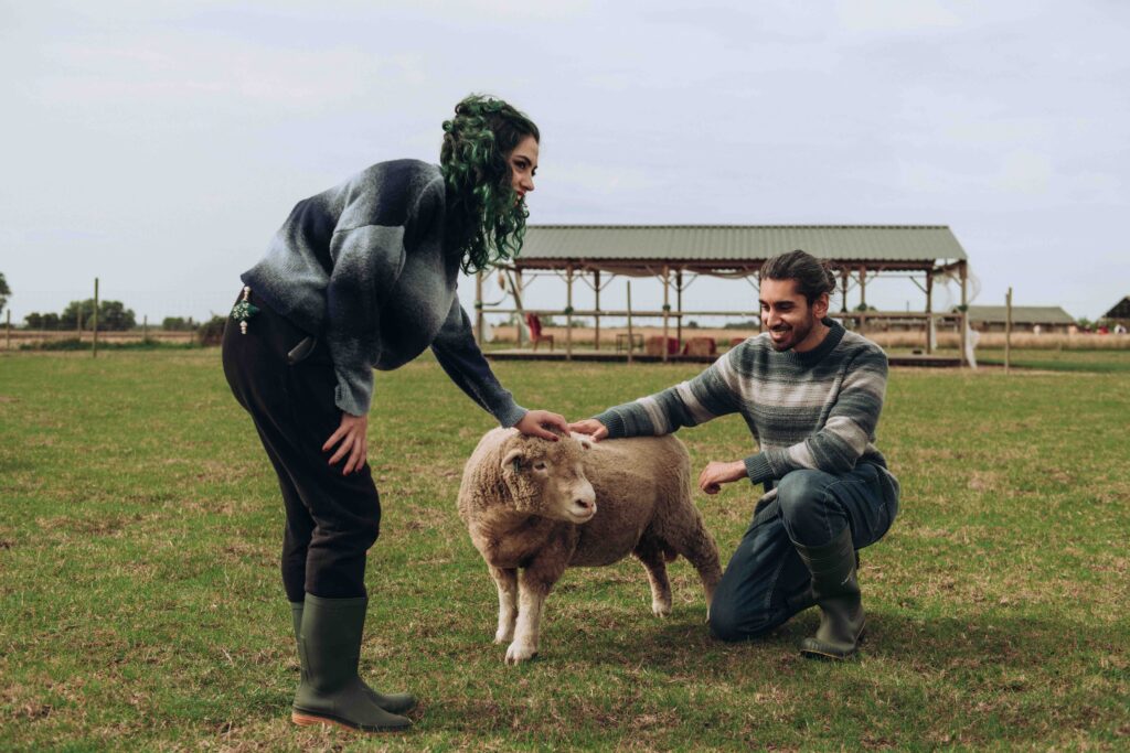 Man and woman petting sheep
