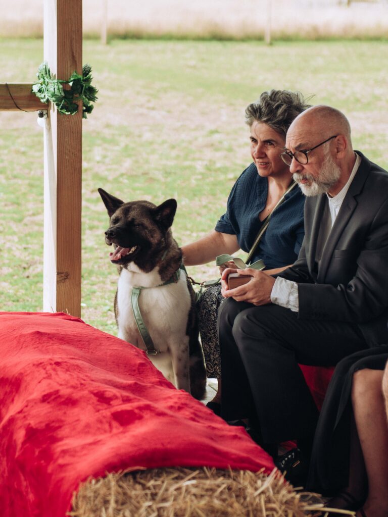 Dog panting at wedding