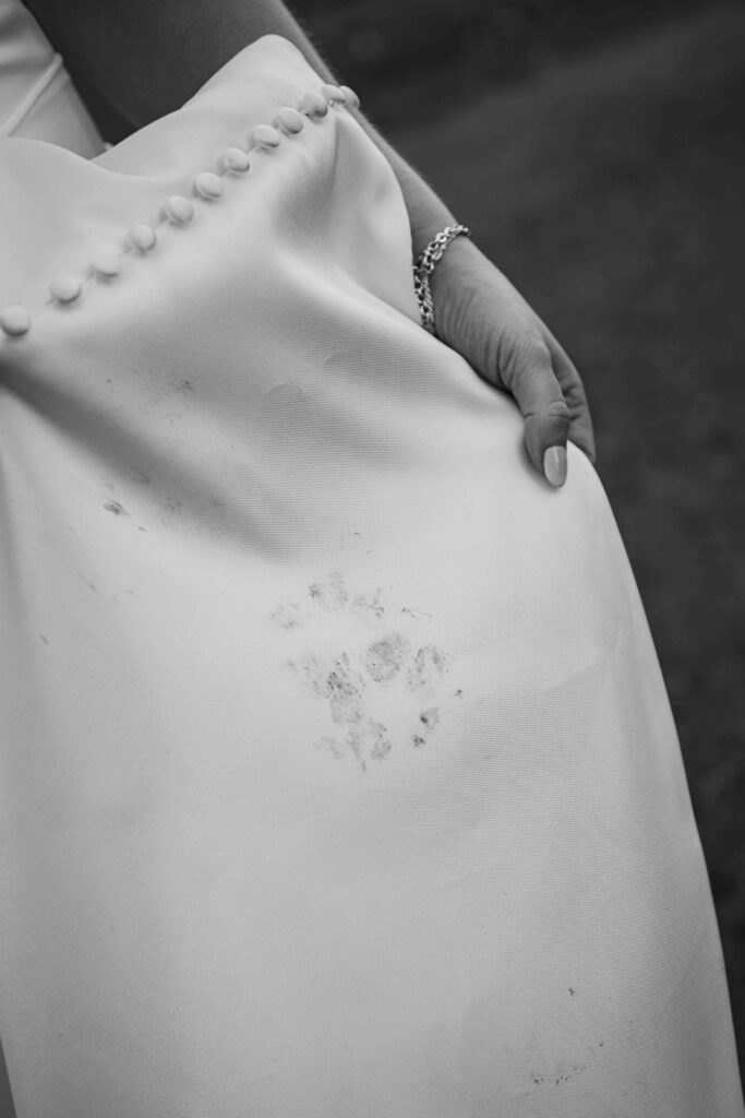 Pawprint on a dress