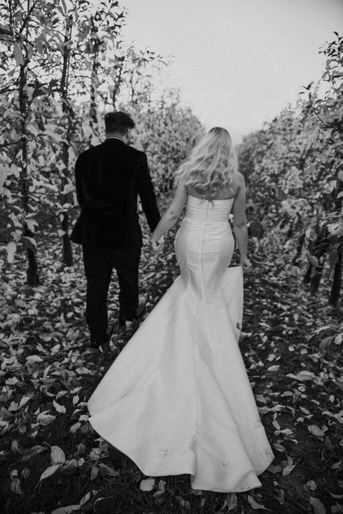 Bride and groom walking beside apple orchard