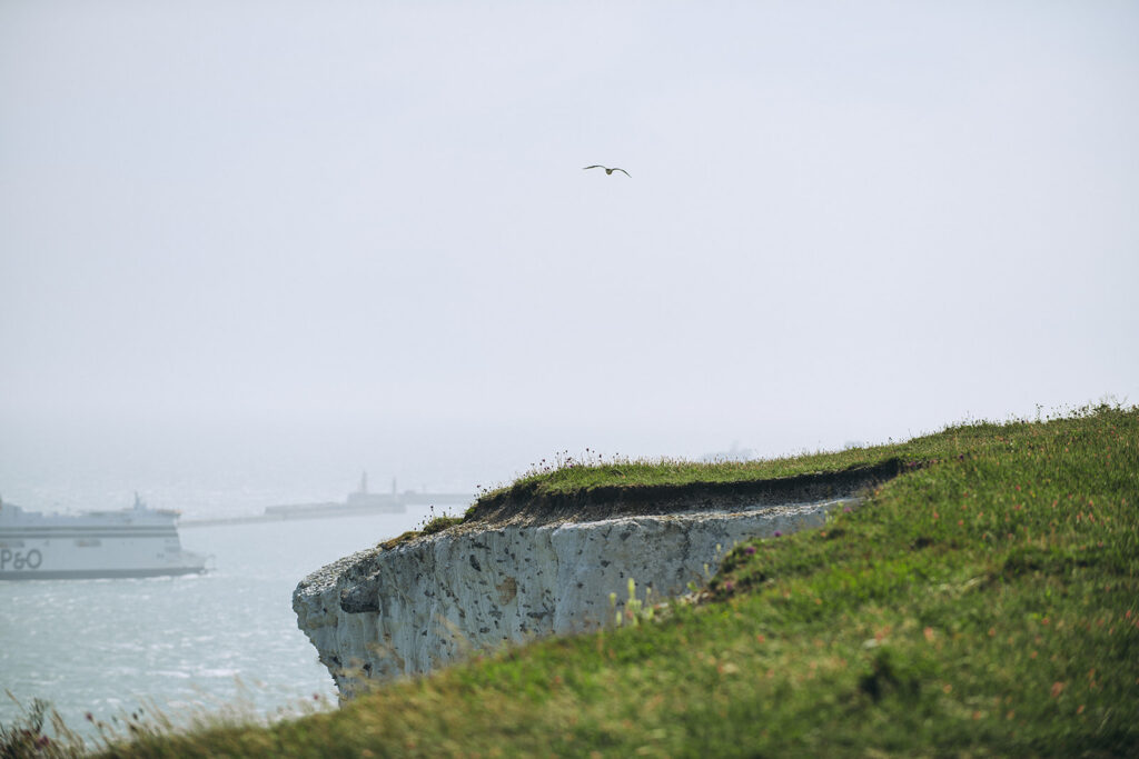 Seagulls flying over a National Trust site in Dover