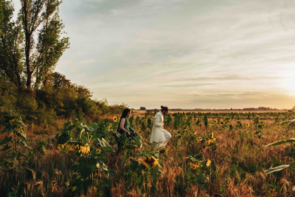 Sunflower field with Indian Newlyweds