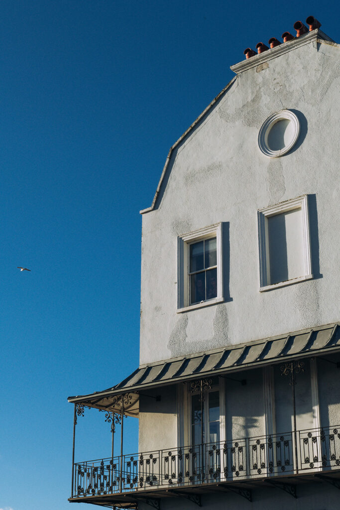 Seagull flying over Albion House in Ramsgate