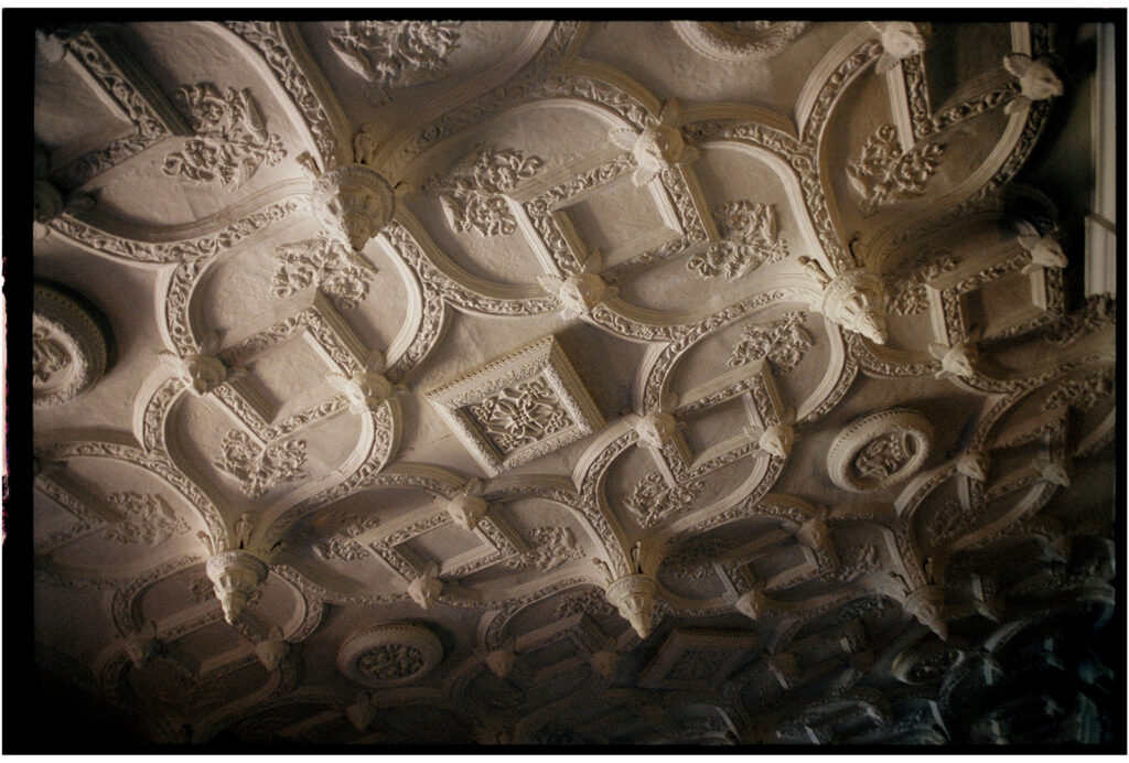 broome park ceiling