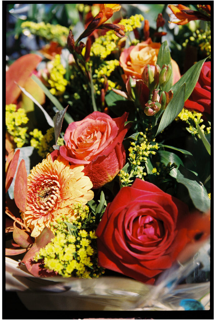 film roses