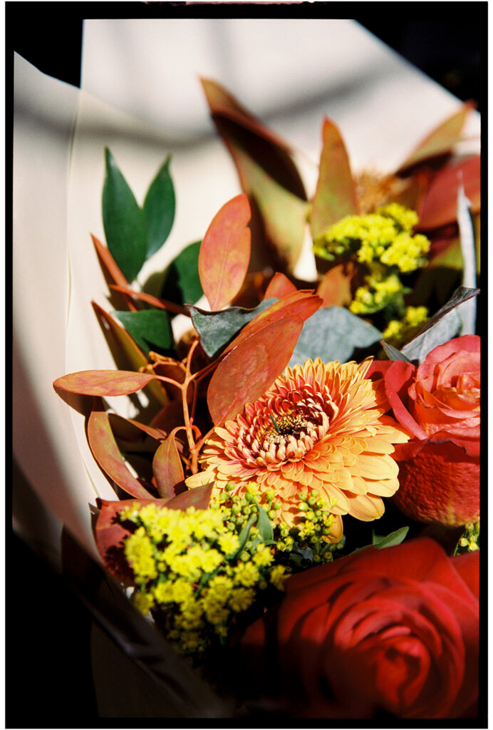 sunlight film bouquet