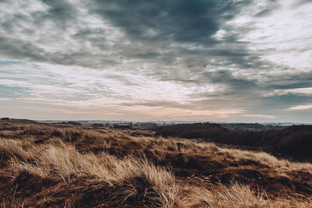 rolling hills at camber sands